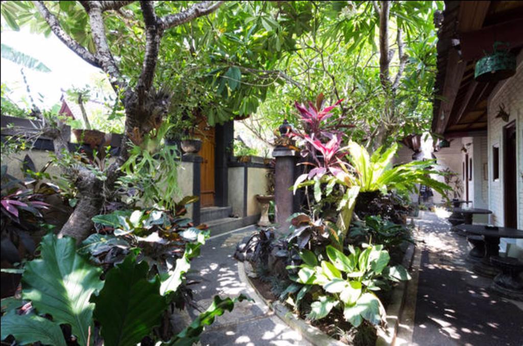 New Danas Canggu Guest House Kerobokan Eksteriør bilde